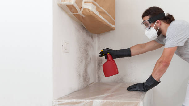 Professional Mold Removal technician working in Juliustown, NJ