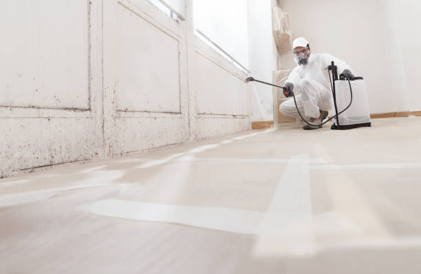 24/7 Emergency Mold Removal experts in Juliustown, NJ